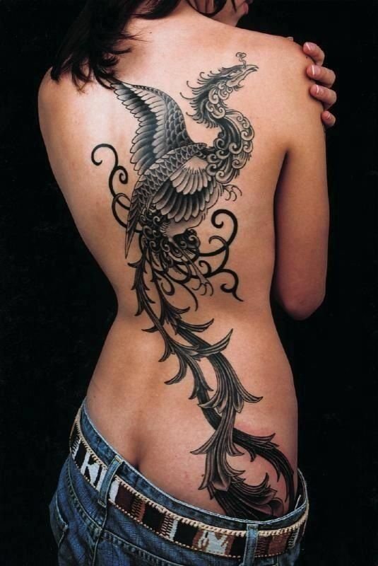 32500 Dragon Tattoo Stock Photos Pictures  RoyaltyFree Images  iStock   Dragon tattoo vector Chinese dragon tattoo Red dragon tattoo