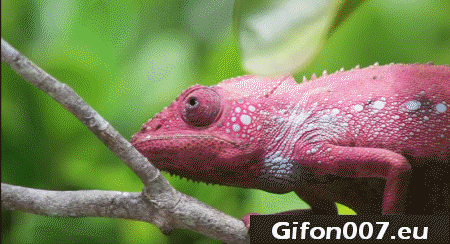 ae5175fa3354b15860a2a436829dd165-2187982341.gif
