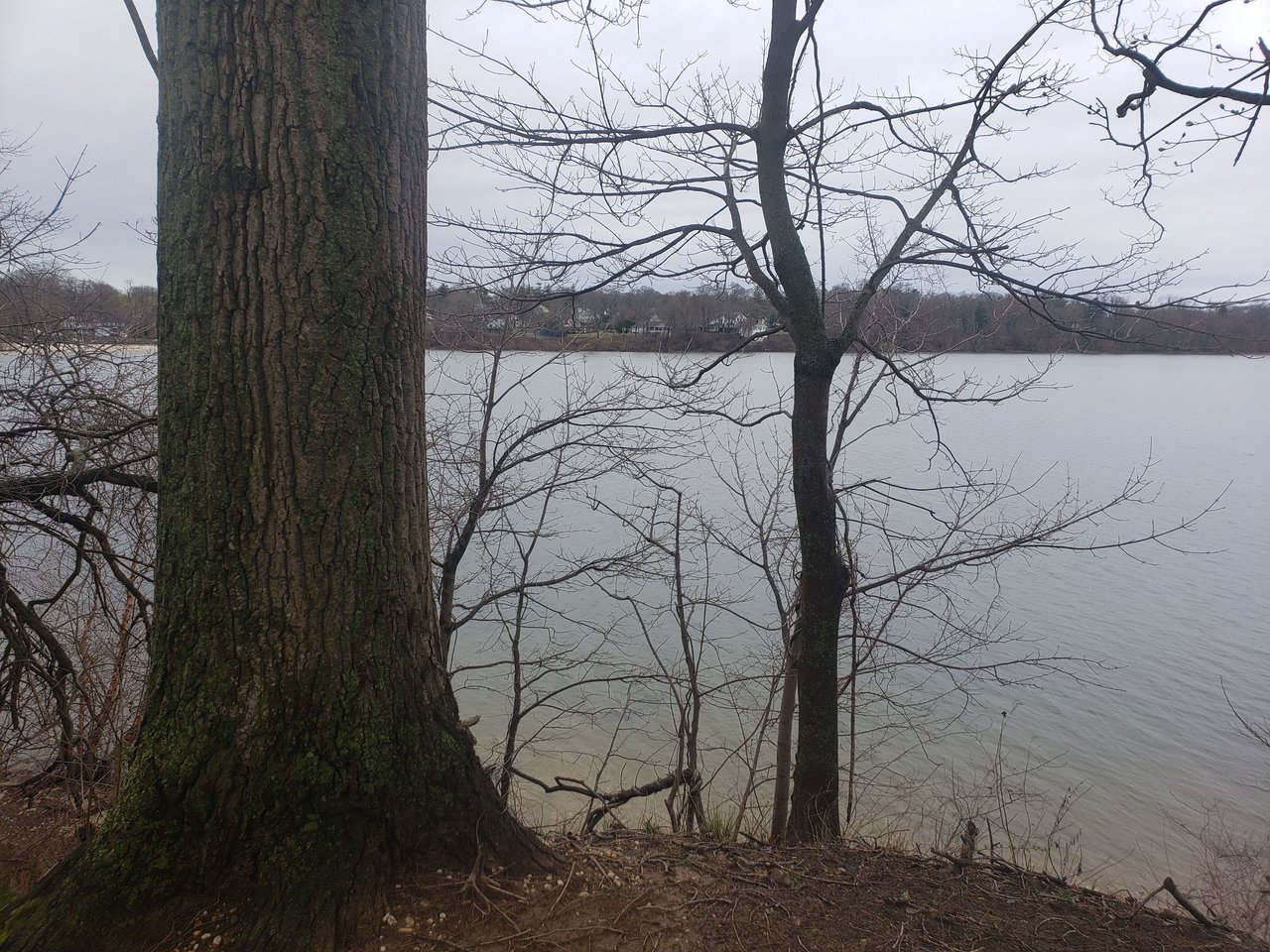Larry's Landing //