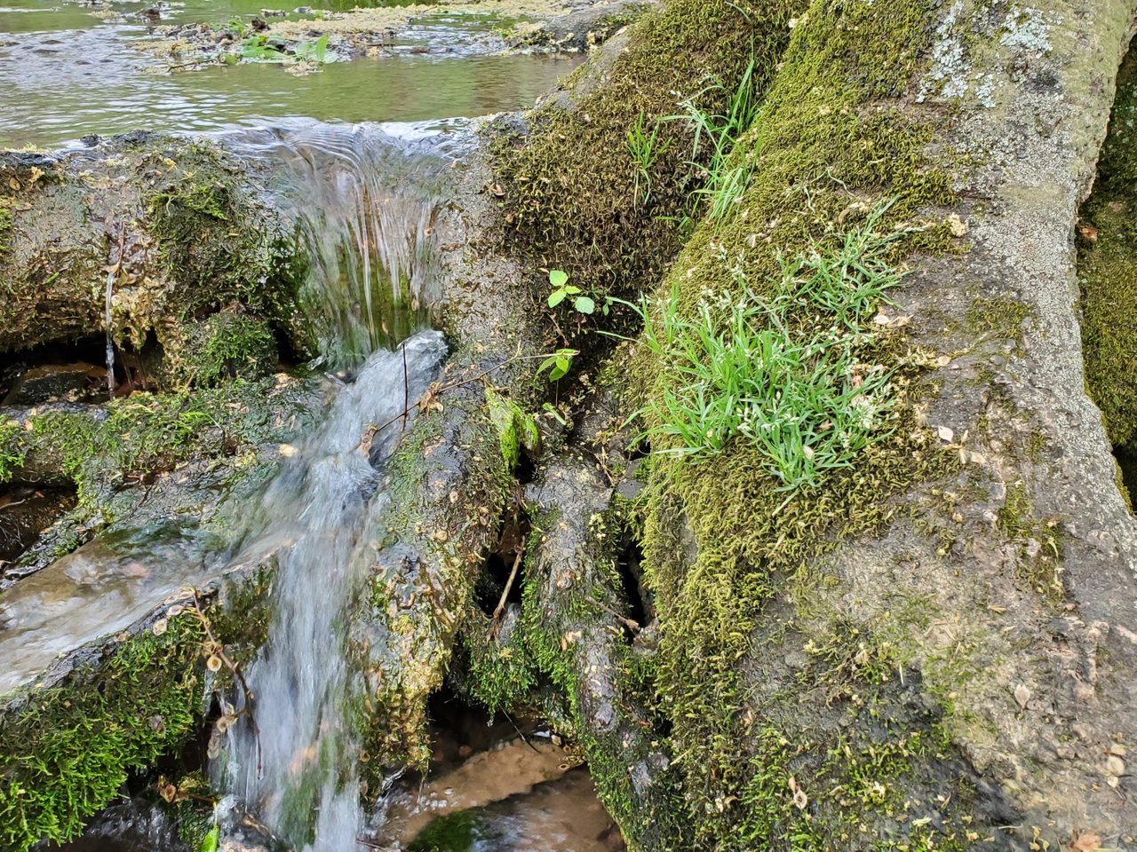 20200408_181859.jpg