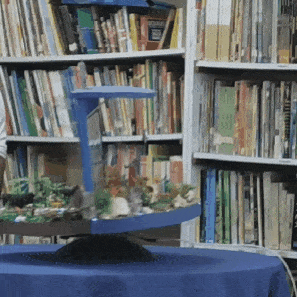 GIF-250404_174144.gif