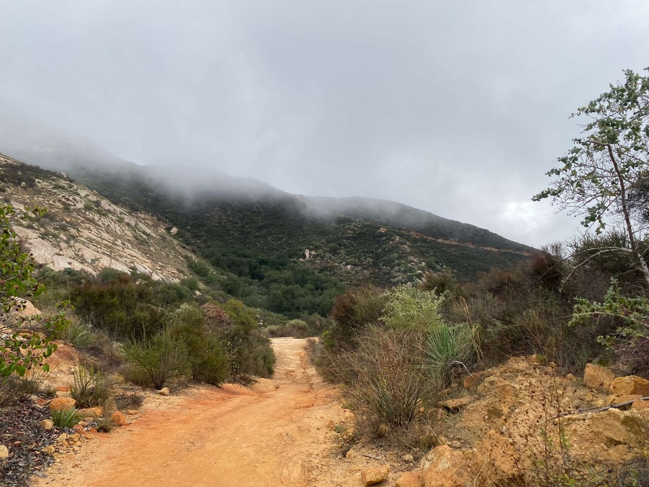 My California - This Week