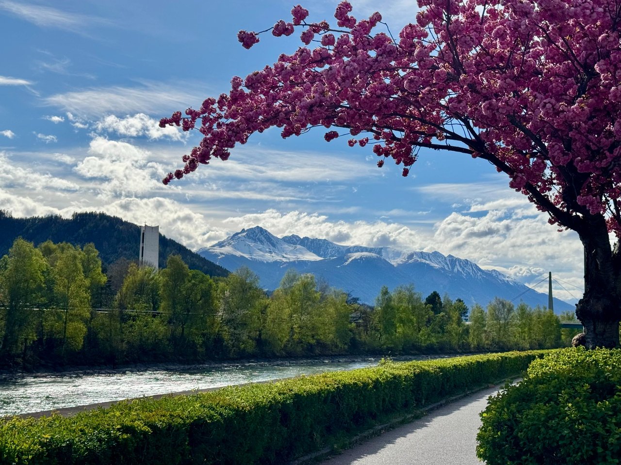 A spring walk