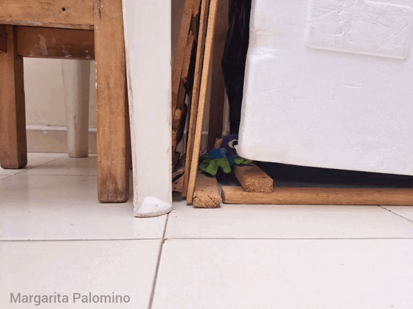 1000027475.gif