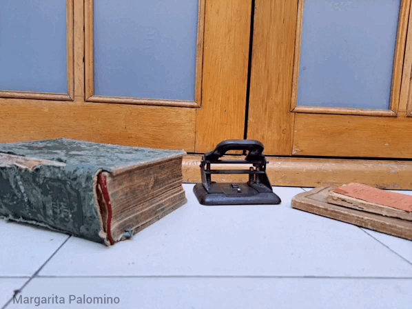 1000034237.gif