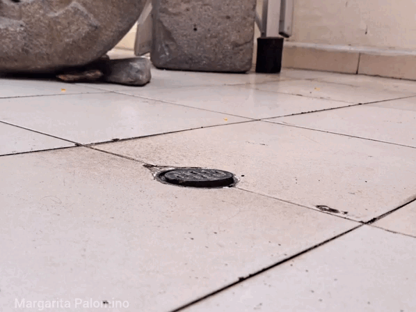 1000018959.gif