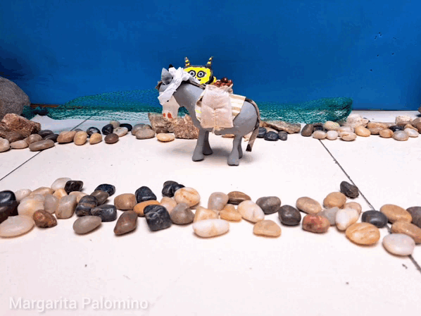 InShot_20230628_145820591.gif