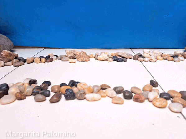 InShot_20230628_144555818.gif