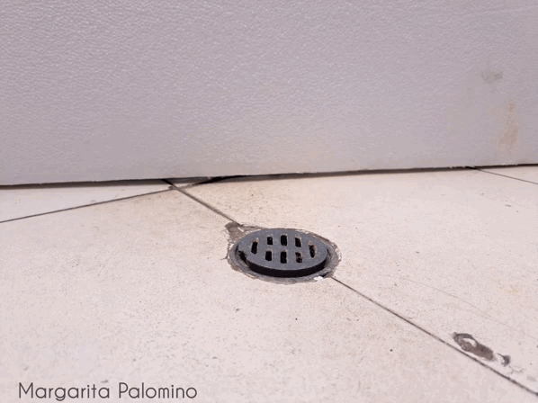 1000024083.gif