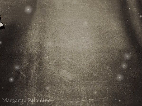 1000021852.gif