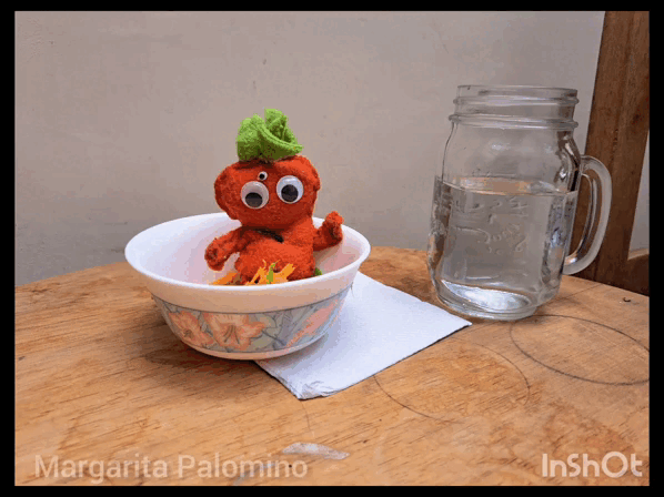InShot_20230325_122515371.gif