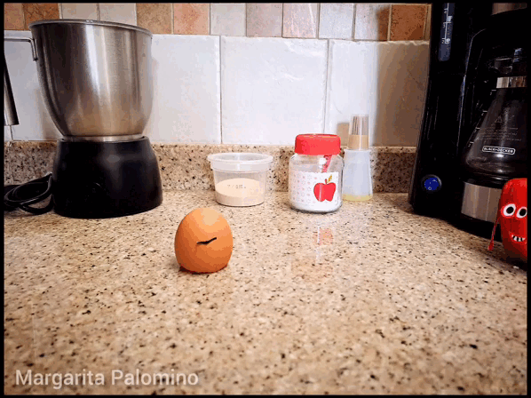 InShot_20230220_120058343.gif