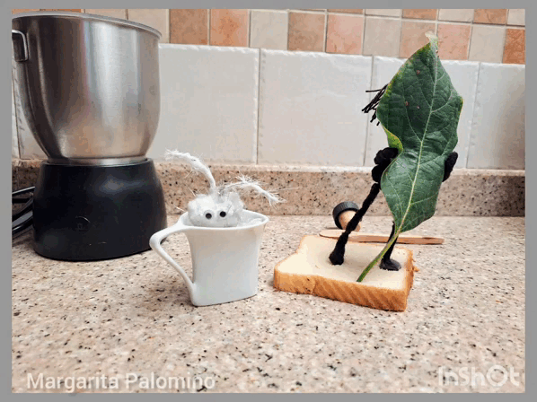 InShot_20230125_141042563.gif