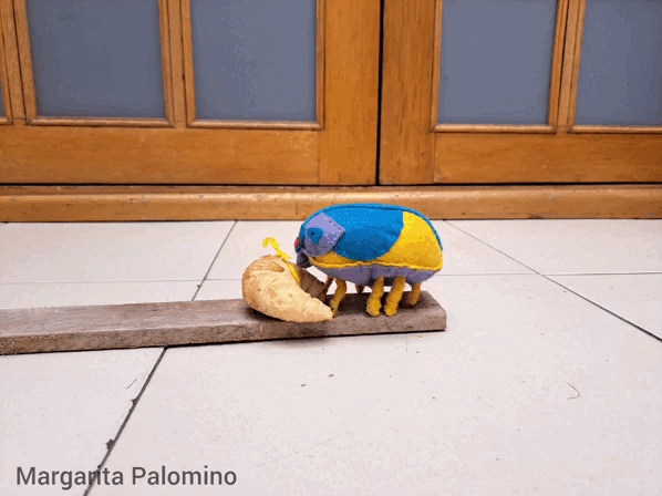 1000028076.gif