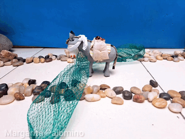 InShot_20230628_145515927.gif