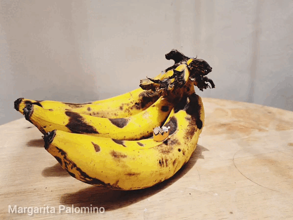 InShot_20230410_131643151.gif
