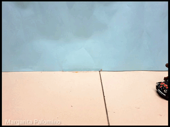 InShot_20230210_135058418 (1).gif