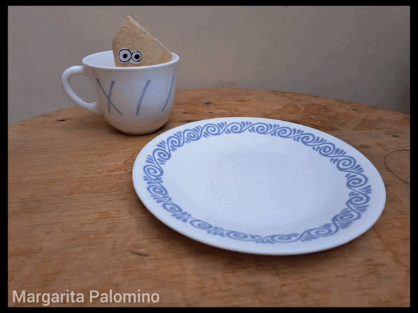 InShot_20230213_120614675.gif