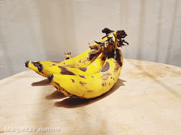 InShot_20230410_130746886.gif