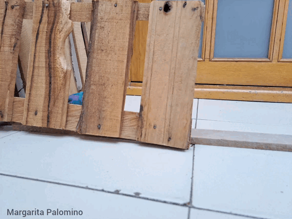 1000028075.gif
