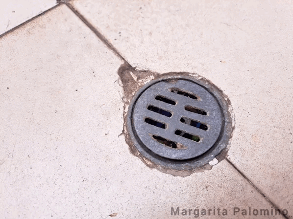 1000016947.gif