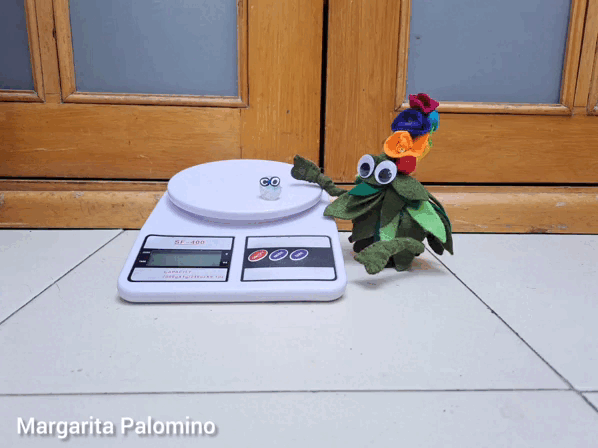 InShot_20230221_104107278.gif