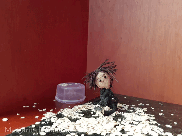 InShot_20221009_151316938.gif