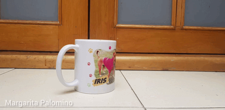 InShot_20221011_115239363.gif