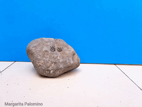 1000025209.gif