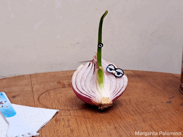 1000024621.gif