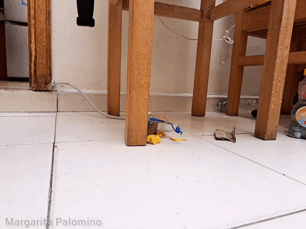 1000021316.gif