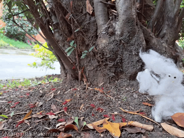 1000009715.gif