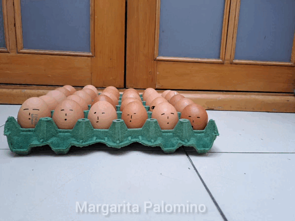 InShot_20230303_120303458.gif