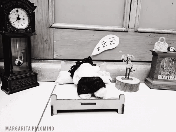 1000025237.gif
