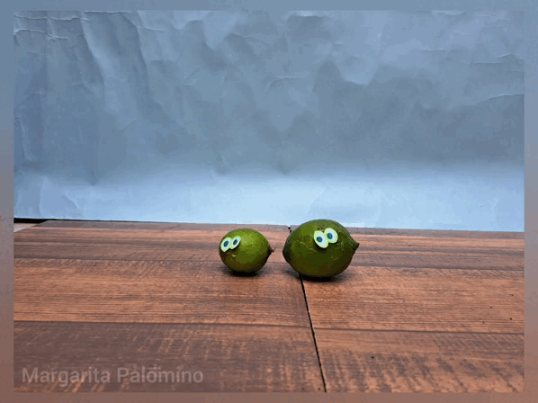 InShot_20230322_132511549.gif