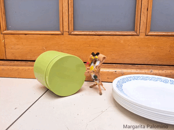1000026590.gif
