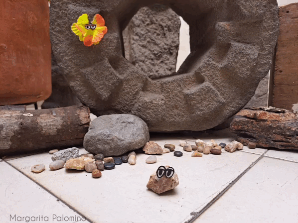 1000024075.gif