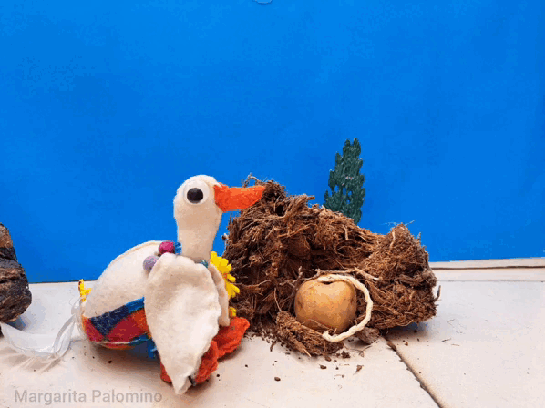 1000023563.gif