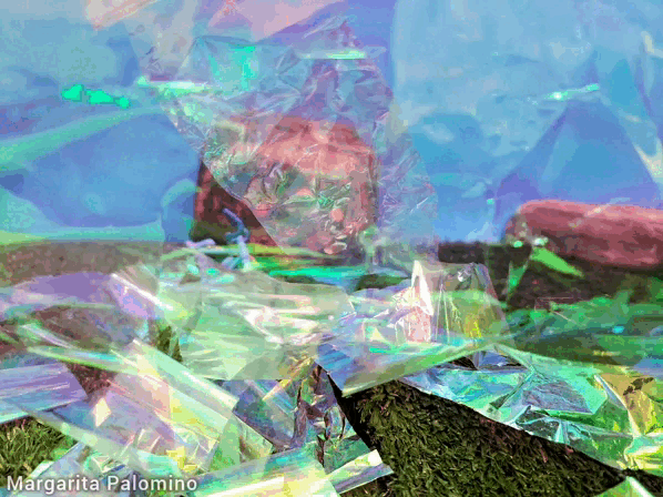 1000014724.gif