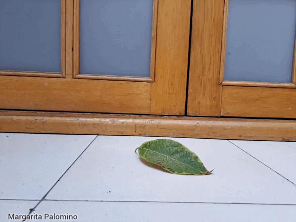 1000010469.gif