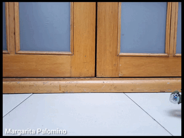 InShot_20230221_103354303.gif