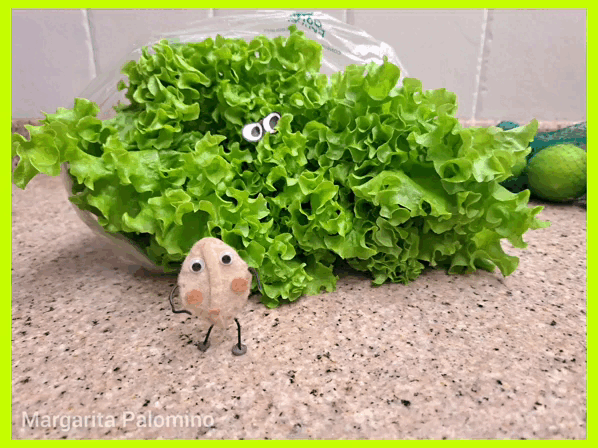 InShot_20230626_163331744.gif