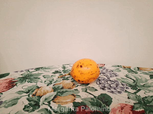 InShot_20230119_113213315.gif