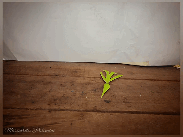 InShot_20230319_214607053.gif