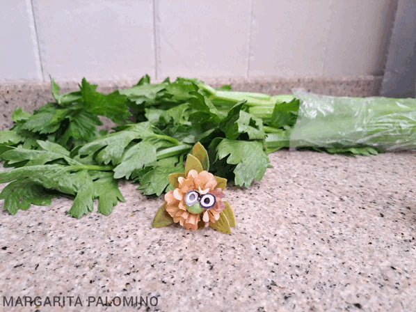 1000035866.gif