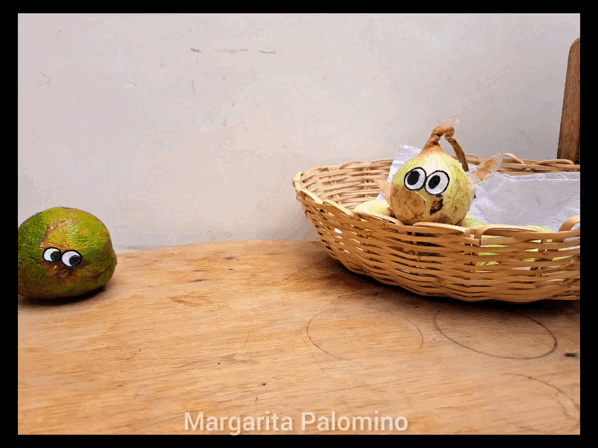 InShot_20230710_115732173.gif