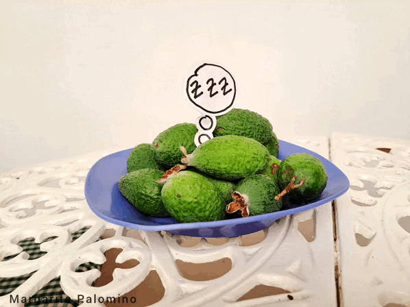 InShot_20231222_120152565.gif