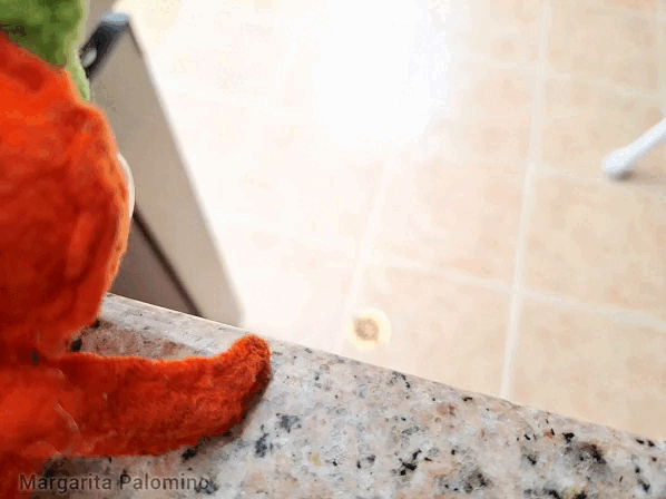 1000023510.gif