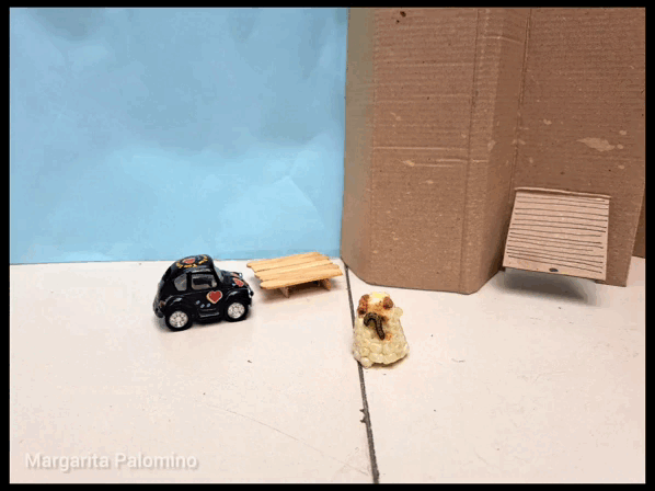 InShot_20230210_160447488.gif