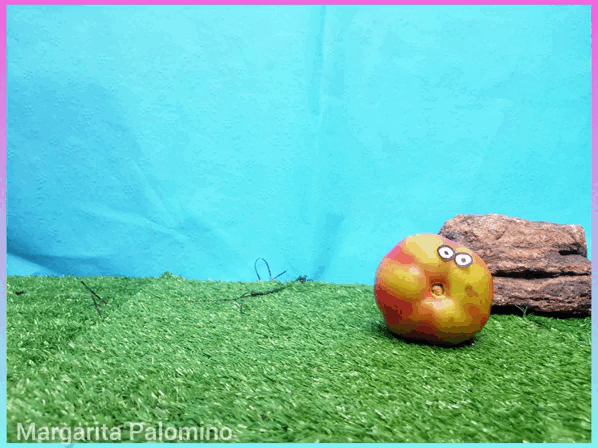 InShot_20230317_152916642.gif